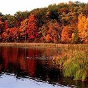  , -, 55  -  7  2018    λ