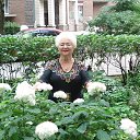 ���� �������, �����-��������� - ��������� 11 ������ 2018 � ������ ���� ����������