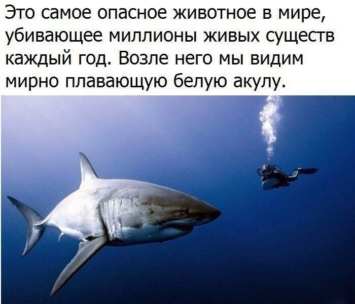    - 29  2018  02:43