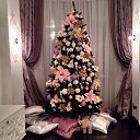 ���� ������, ������� - ��������� 21 ������� 2017 � ������ ������ ��������