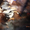 ������� ���� � ������ � ������ � ������ ���� �� ������� ��� ��������� 2018�.�