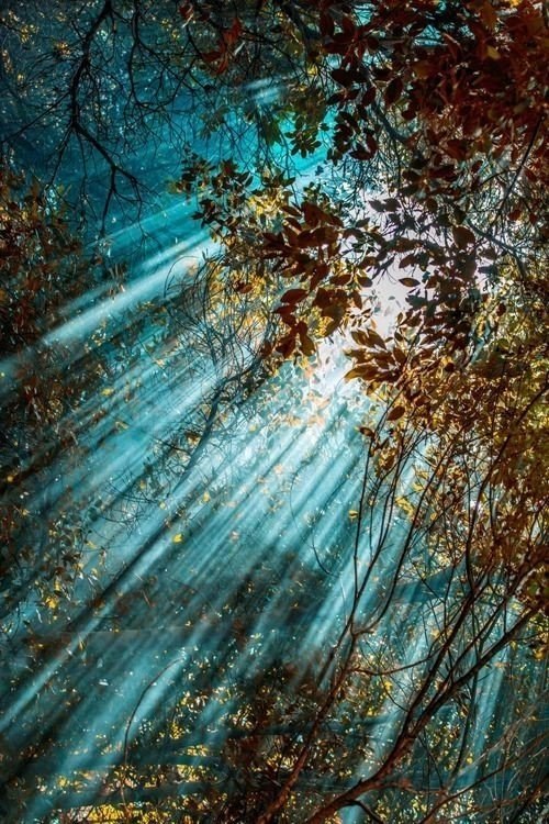    .  ,  :   .   ,   . - 6