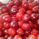 ���� ����, ���������� - ��������� 18 ��� 2018 � ������ ���� ����������