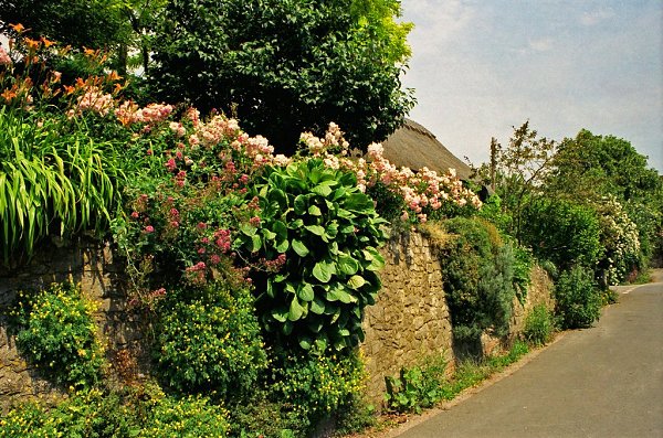 .    /Amberley Castle.  - Amberley Castle  ... - 15