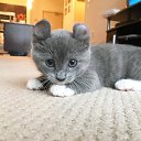 ���� �����, �������� - ��������� 15 ����� 2018