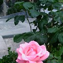  , , 60  -  28  2018   , ,,28.05.18. 08.30. 