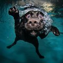 ���� ������, ������, 58 ��� - ��������� 30 ���� 2018