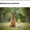 ���� ������, �����������, 38 ��� - ��������� 7 ������ 2018 � ������ ������ ��������