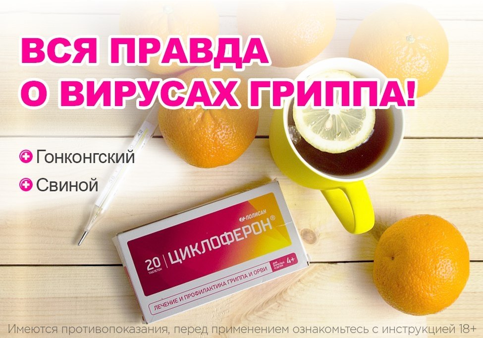 СМИ пугают надвигающейся эпидемией. ВОЗ отмечает повышенную заболеваемость населения Западной Европы ...
