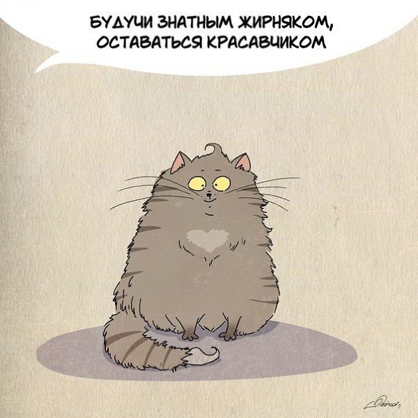 1 марта отмечается День кошек. Нам есть чему поучиться у шерстяных засранцев: