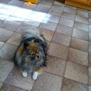  , , 63  -  19  2018   z