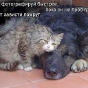 ���� �������� (�� ��������), �����������, 56 ��� - ��������� 20 ������� 2018 � ������ ���� ����������