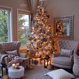 ���� �����, ������������� - ��������� 8 ������� 2017