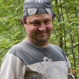 ���� �����, �������, 43 ���� - ��������� 12 ������� 2018