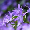 ���� �����, ������, 56 ��� - ��������� 31 ��� 2018 � ������ ���� ����������