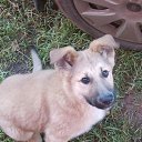 ���� ����, �������, 57 ��� - ��������� 15 ��� 2018 � ������ ������ ��������