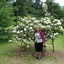 ���� ��������, �����-���������, 64 ���� - ��������� 19 ��� 2018 � ������ ��������� �� ������