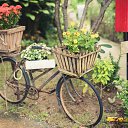 ���� ���, �������� - ��������� 18 ���� 2018 � ������ ���� ����������