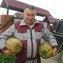 �� ���� 2017�