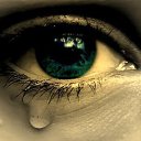 ���� �����, ��������, 40 ��� - ��������� 21 ������ 2018 � ������ ���� ����������