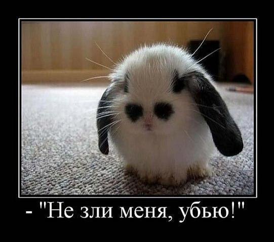 ОБО ВСЕМ - 1 июля 2018 в 22:03