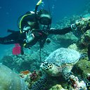 ���� �����, ������, 39 ��� - ��������� 10 ���� 2018 � ������ ������ ��������