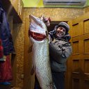 ���� ������� �� ��������, �����, 67 ��� - ��������� 23 ������ 2017 � ������ ��� �����