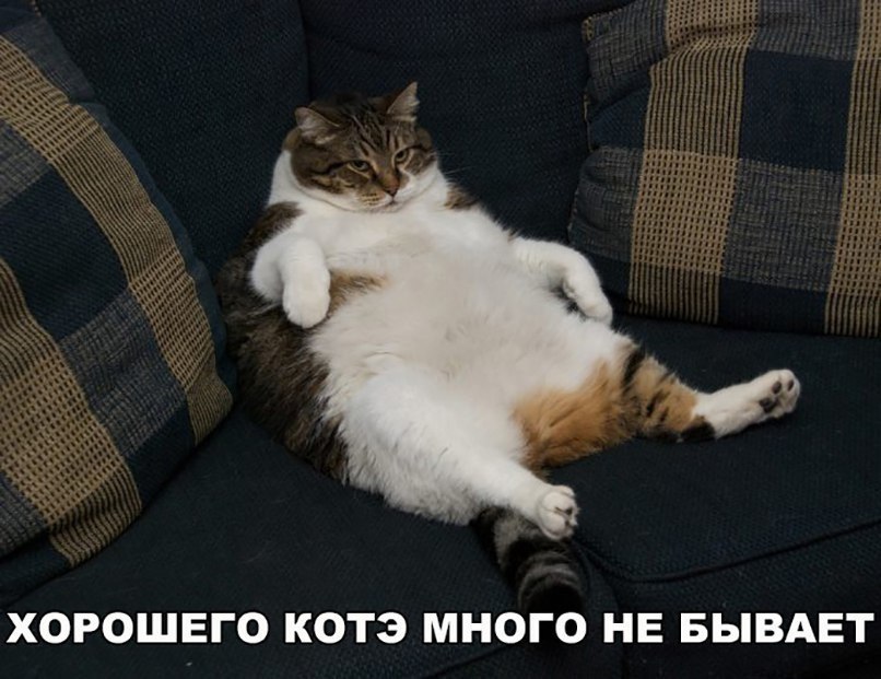 ���U��ʠ - 5