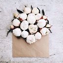 ���� Rose, ����������� - ��������� 22 ���� 2018 � ������ ���� ����������