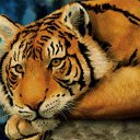 ���� ����, ������ - ��������� 4 ��� 2018