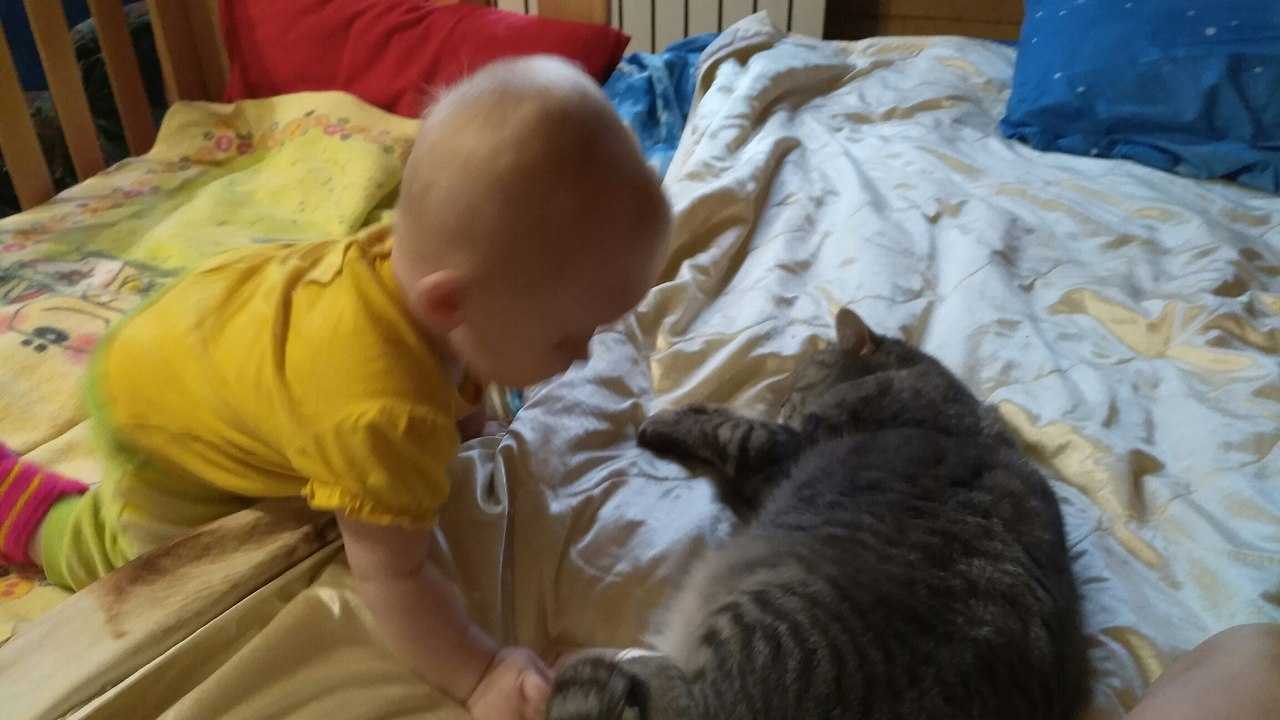 #_.       .     4 .   ... - 5