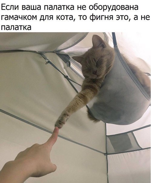    - 24  2018  03:56