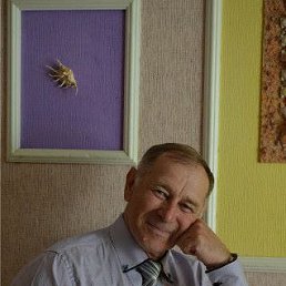 �������� �����, �������������, 72 ����