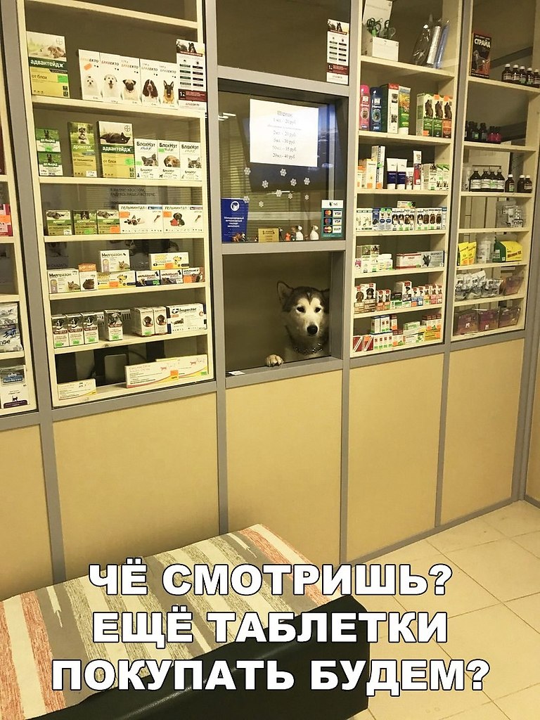    :D - 9  2018  03:32