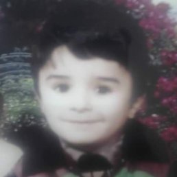 ���� Zamin, ����, 42 ���� - ��������� 26 ��� 2018