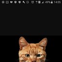 ���� �����, ������, 48 ��� - ��������� 30 ����� 2018