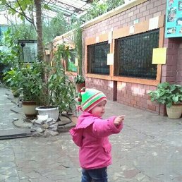 ���� ���������, �������, 41 ��� - ��������� 28 ������ 2017