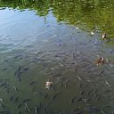 ���� �������, ������������ - ��������� 26 ���� 2018 � ������ ���� ����������