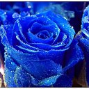 ���� Zita ***, �������, 51 ��� - ��������� 4 ���� 2018 � ������ ���� ����������