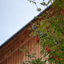 ���� ������, ������, 44 ���� - ��������� 20 ������� 2017 � ������ ���� ����������