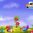 ���� �������, ��������� - ��������� 25 ������ 2017 � ������ �������� �������-�������