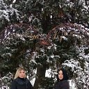 ���� ���, �������� ������, 43 ���� - ��������� 21 ������ 2018 � ������ ���� ����������