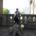  ,   -  20  2017    )