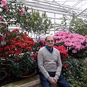 ���� ����, ������, 77 ��� - ��������� 25 ������� 2018 � ������ ���