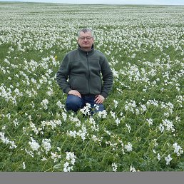 Stanislav, �����������, 58 ���