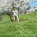 ���� ���, �����������, 51 ��� - ��������� 24 ����� 2018 � ������ ���� ����������