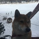 ���� Andrew, ��������, 48 ��� - ��������� 14 ������ 2018 � ������ ������ ��������