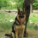 ���� �����, �����������, 49 ��� - ��������� 18 ���� 2018 � ������ ������ ��������