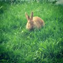 ���� ���, �����������, 45 ��� - ��������� 7 ��� 2018 � ������ ������ ��������