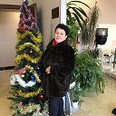 ���� ������, �����������, 69 ��� - ��������� 15 ������� 2017 � ������ ���� ����������